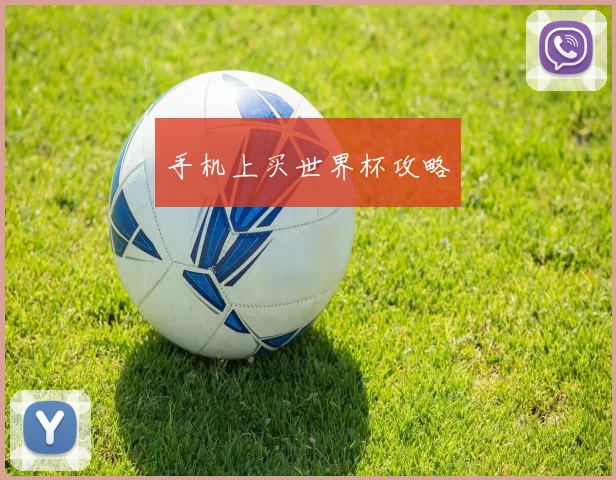 手机上买世界杯攻略