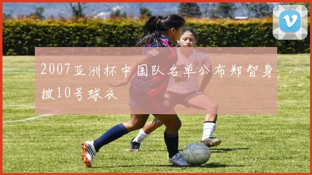 2007亚洲杯中国队名单公布郑智身披10号球衣