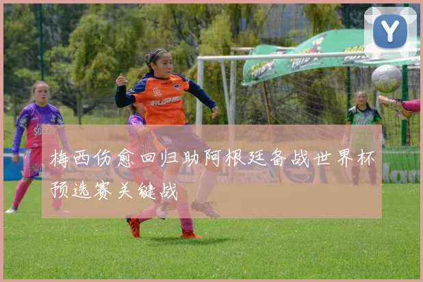 梅西伤愈回归助阿根廷备战世界杯预选赛关键战