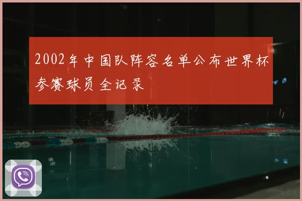 2002年中国队阵容名单公布世界杯参赛球员全记录